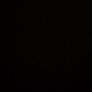 Meet your Posher, Lexi